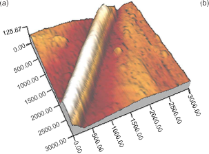 Nanoscale trois points (4)