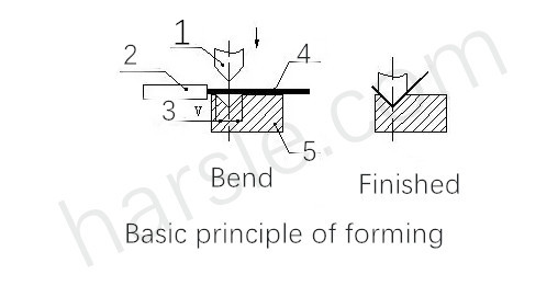 Principe de base de la formation